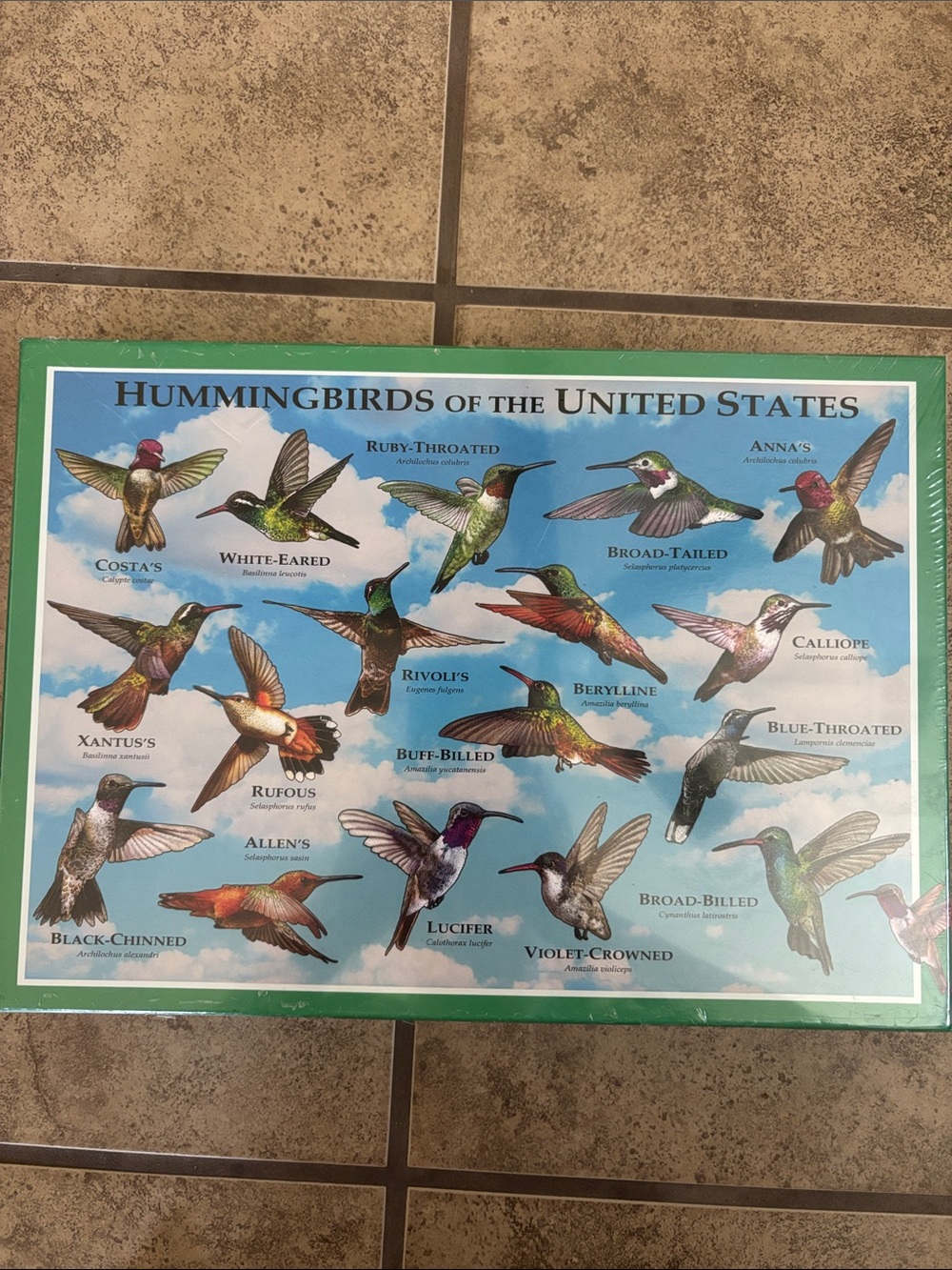New in box Hummingbirds of the USA 300 piece puzzle